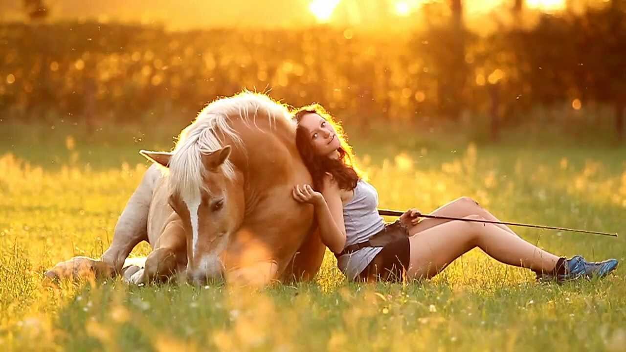 proud lovers from horses. hou van mijn grote voorbeelden @evaroemaat @meganbakker @jessetjuhh @NH_cathleen @lil_cinderellah & @ShowteamLezopa