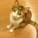 yoshi m (@22yoshi2) Twitter