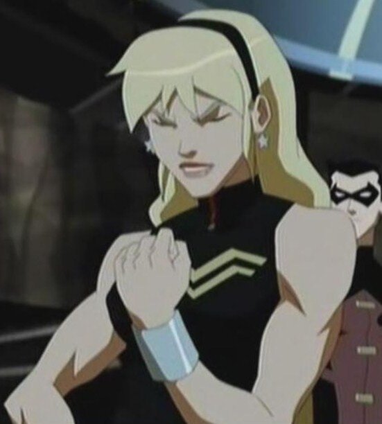 Hai! Wonder Girl side kicks to Wonder Woman. Young Justice Forever!