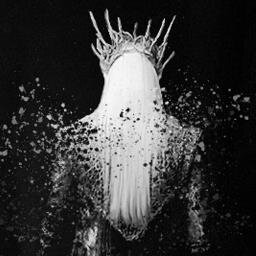 one Mop to rule them all, one Follicle to find them, one Barnet to braid them all and in the Darkness sass them. Drinks conditioner like Thranduil drinks wine