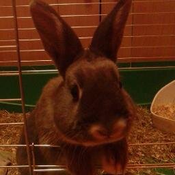 LusiekOfficial's profile picture. kocham swoją klatkę