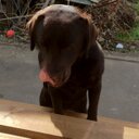 pauline cunningham - @pollly16 - Twitter