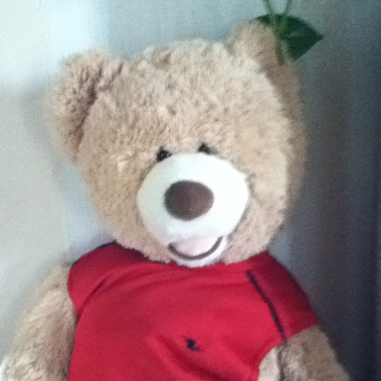 tiguiss09's profile picture. 