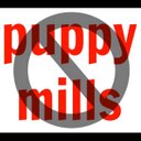 Kimberly Schock - @KimberlySchock - Twitter