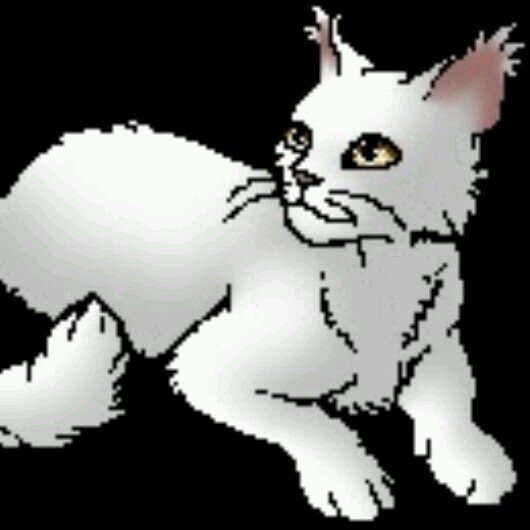 I am Mosspaw of Cloudclan and i am 13 moons. I have fluffy white fur with a couple black spots and yellow-green eyes.