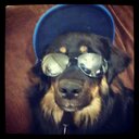 Jackson Rider - @jacksonrider93 - Twitter