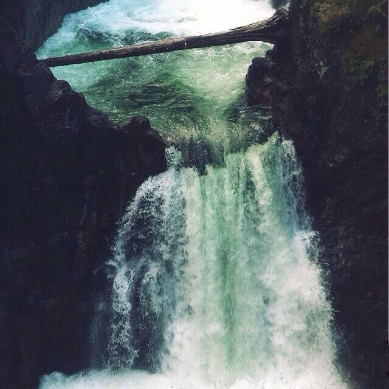 xtelphobix's profile picture. be happy. change the world. live your life. be the best that you can be. be you. #illhueminati