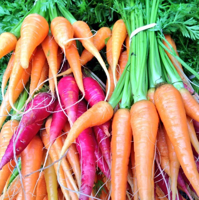 TGrimesHUSK's profile picture. Executive Chef of Husk Restaurant in Charleston, SC. Husband and Dad. Finding inspiration wherever with whatever!