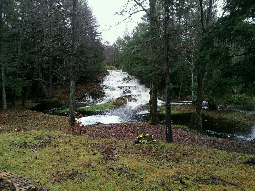 flintonfalls's profile picture. 