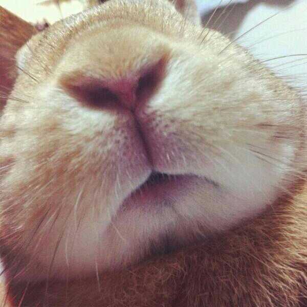 rairai_venven's profile picture. 琉球文化　ミュージカル　万年筆　など