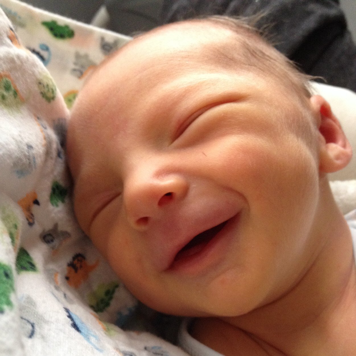 jasminealmand's profile picture. 