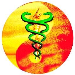 Fisioterapeuta, Instrutor de Tai Chi Chuan e Criador do Fisiotaichi