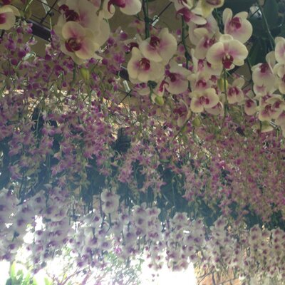 Urumaimai 今日は沖縄市のじゃがいも35で飲み会です Http T Co Laeobp59nf