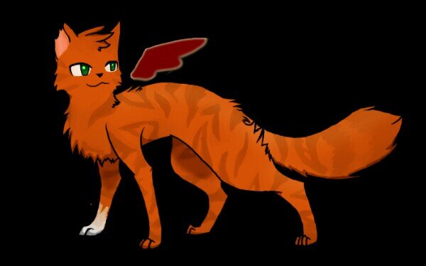 Ginger furred she cat with a broke wing and a white paw. Green eyes, And a broken heart. Jagged sharp claws thorn sharp teeth. has a bad past. #Loner