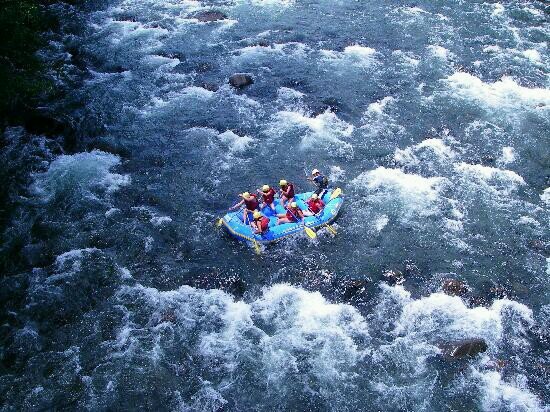 bizsam13's profile picture. 