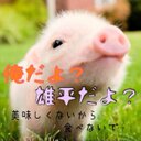三浦雄平 (@0518Hei) Twitter