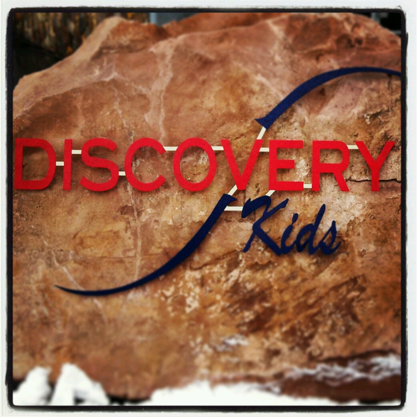 DiscoveryKidsD's profile picture. 