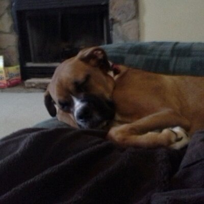 Profile Picture of Rebecca Higgins (@higgins_katelyn) on Twitter