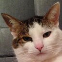 Kevin Bourque - @KBourque78 - Twitter