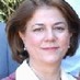 Nayereh Tohidi (@ntohidi) Twitter profile photo