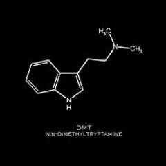 Pizza, Drugs.