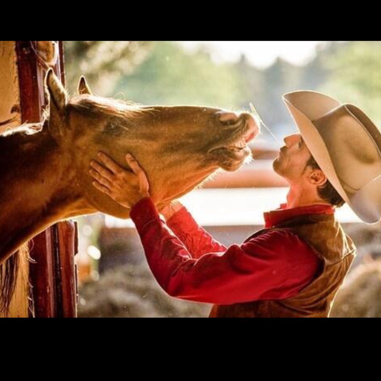 Born and bred in the south. Cowboy by the grace of God. Knows how to treat a girl and give her a good time. Baseball player blessed with a farm and a horse