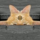 Zach Ladd - @vampiresrule_12 - Twitter