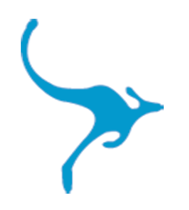 Join The BlueRoo Party & Learn About Internet Marketing, Web Design & SEO!
