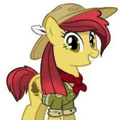 Just an ol' explore who loves to travel and meet new friends. Also a friendly Scout Leader. (A spiritually big sis to @mlp_MBreeze.)