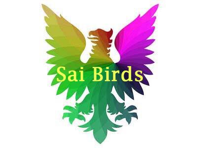 Saibirds chennai