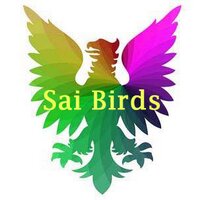 Saibirds chennai(@Saibirdschennai) 's Twitter Profile Photo