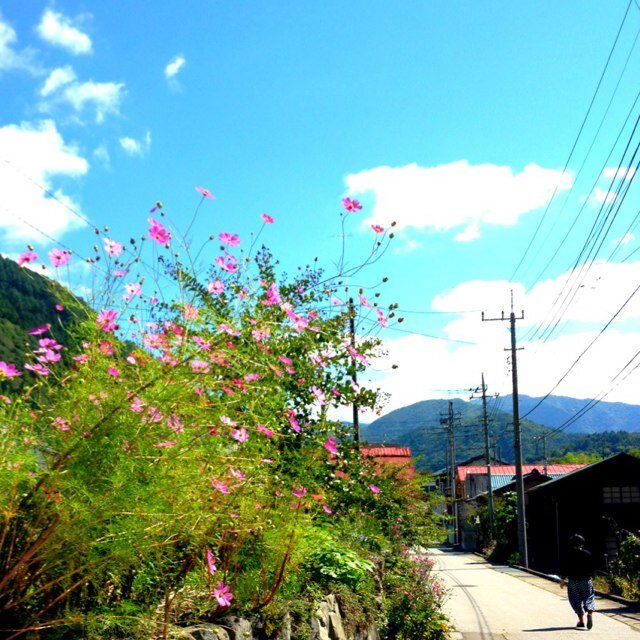 osstbn55's profile picture. 美味しいご飯と餅つきとビークルが好き システム開発系のお仕事してます