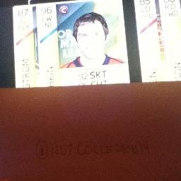 NHL Collections I Have All But Detriot,Boston,Peguins