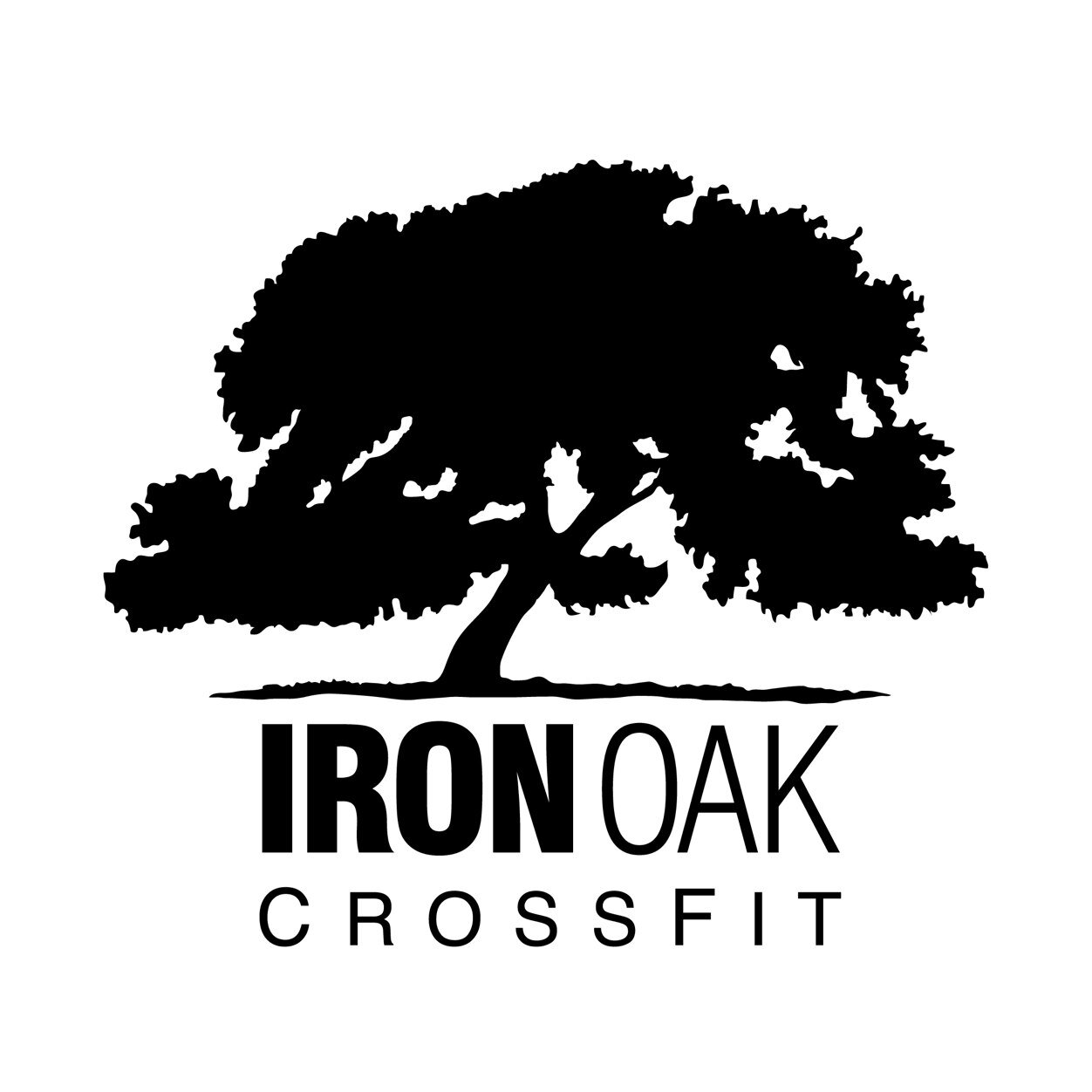 From a garage to a 10,000 sqft box, we stand beside each member of Iron Oak CrossFit in achieving THEIR vision for a healthy lifestyle!