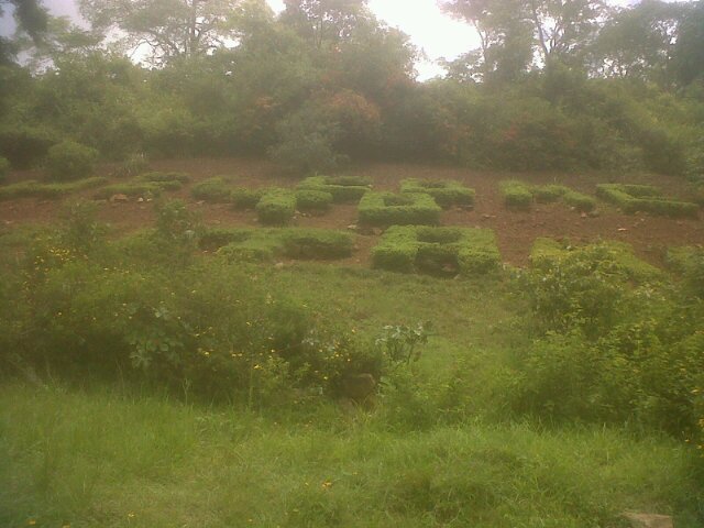 Longquiztenyear's profile picture. Swagg thought I go so hard like a erect from the past!!