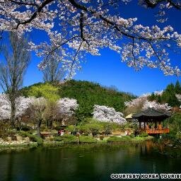 lupithaaura's profile picture. 