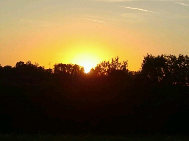 OudshoornR's profile picture. 