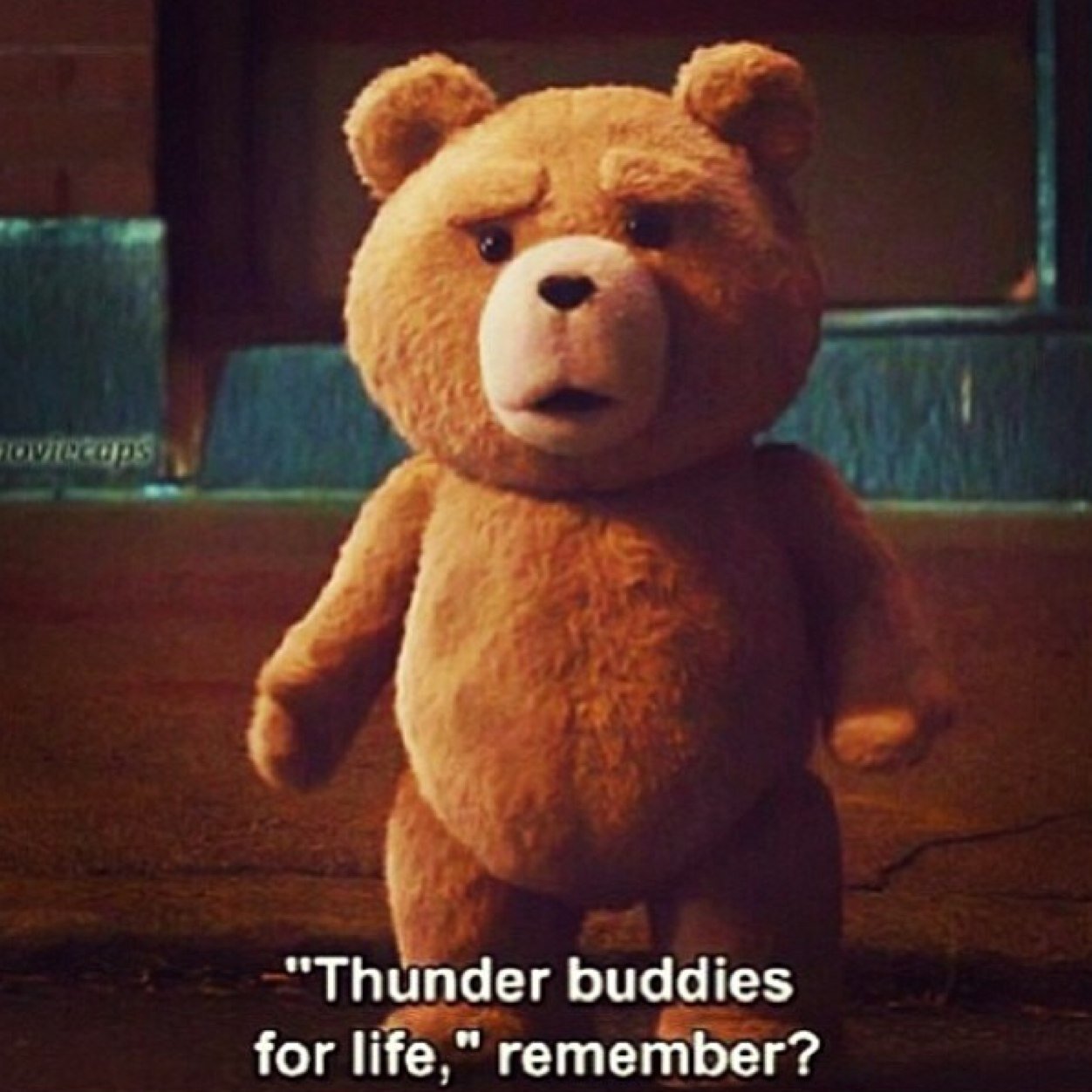 Follow Me I Got The Best Funniest/Dumbest Tweets Ha