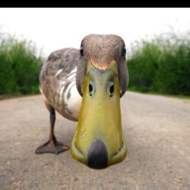 GRPhillips24's profile picture. I'm the guy from that thing