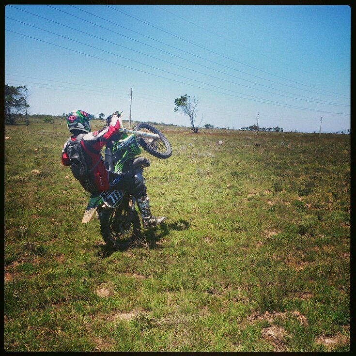 bluespawn1's profile picture. 