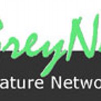 GreyLit Network (@greylitnet) 's Twitter Profile