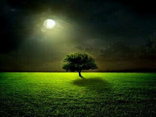 Kik: aa_jeddah_86 \ Picmix: @aa_jeddah_86