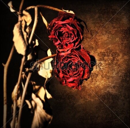Art Is My Escape It Is The Expression Of My Mind