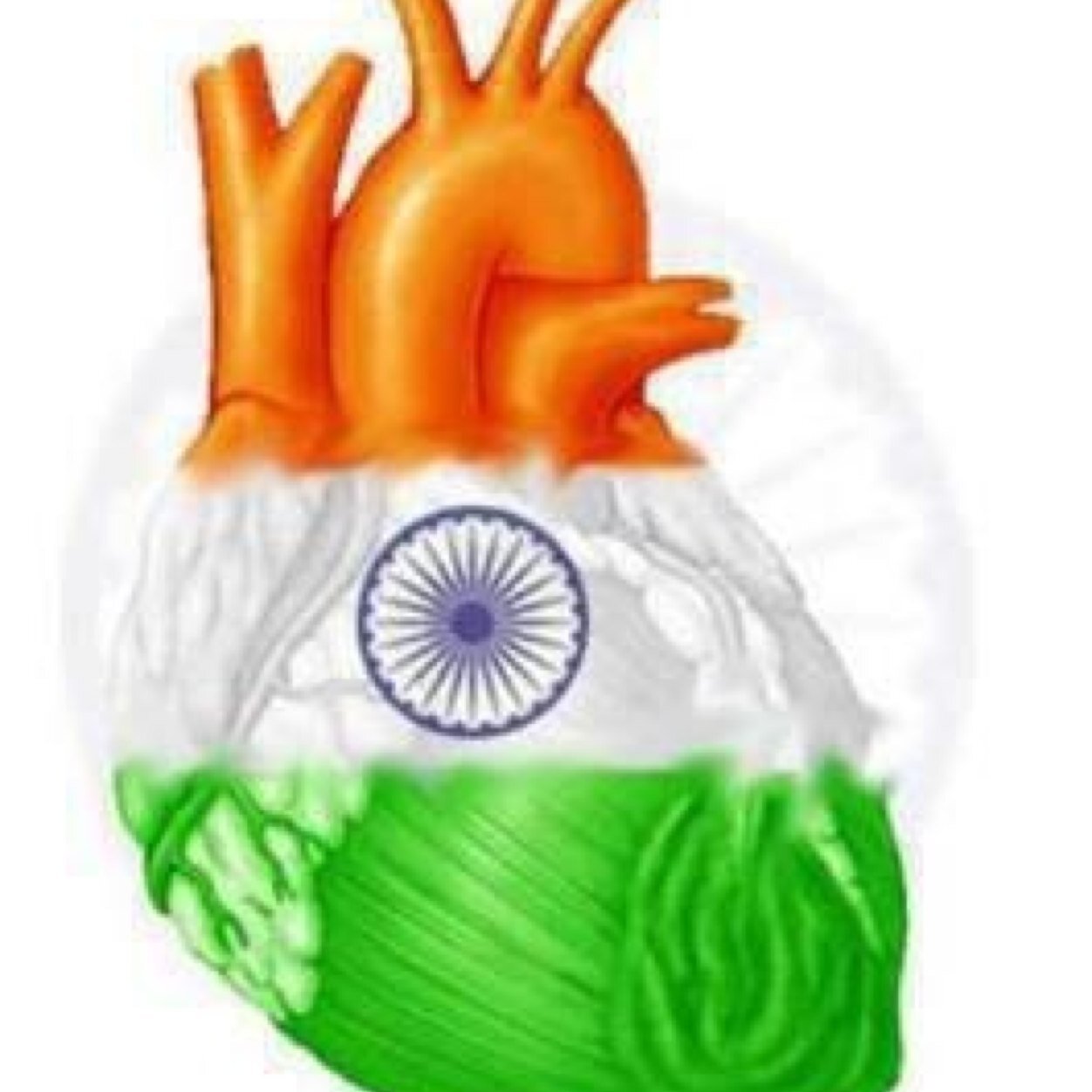Associate member of company secretariesof india.