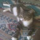 Kykotsmovi Ora Snow - @kykotsmovi - Twitter