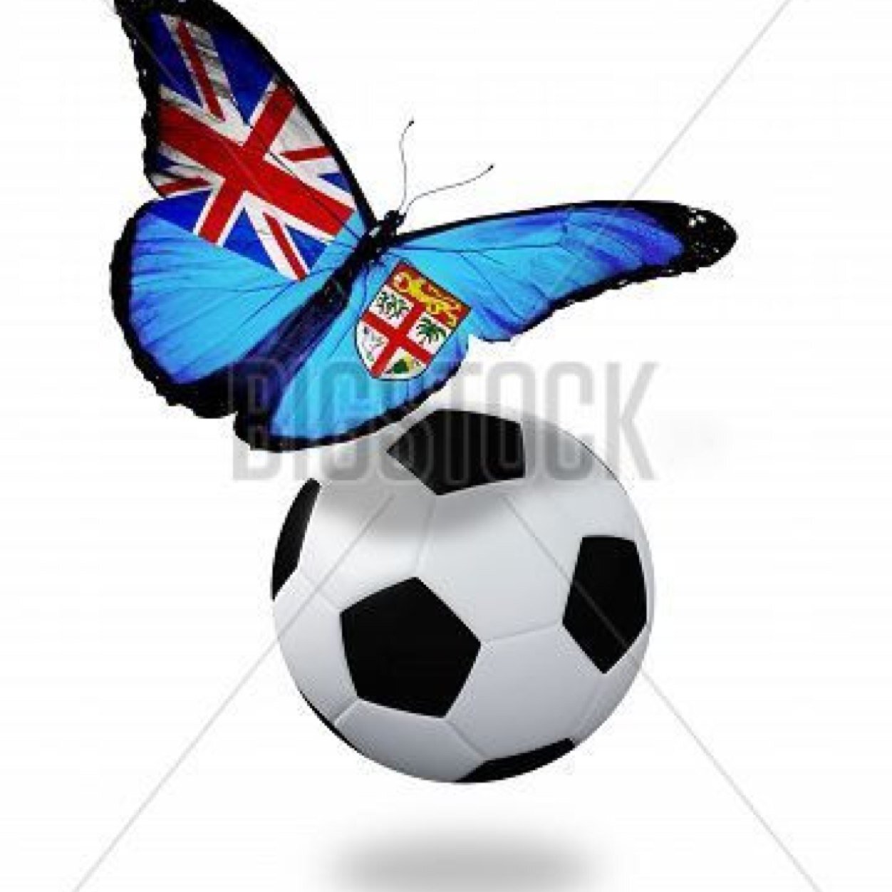 Reliable resource for a variety of free football tips from around the globe. ⚽️ #fancyaflutter #butterflytips