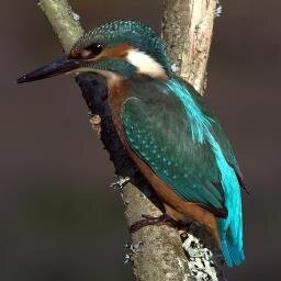 brian4193's profile picture. 