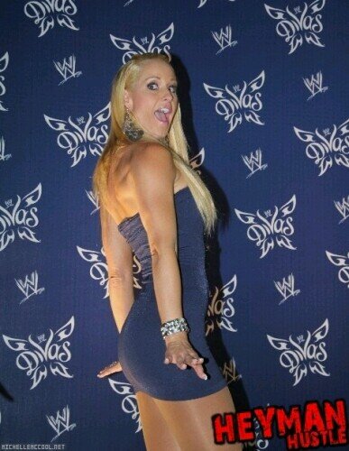 FalseKnockout's profile picture. Small town country girl. Former WWE Diva. Still flawless as ever. [RP/FL] with @TunechiWWE