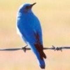 Деревня не признает, так сам себя деревенским сторожем назовет