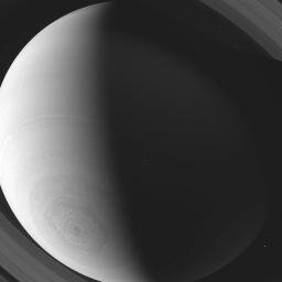 s_t_rn's profile picture. 